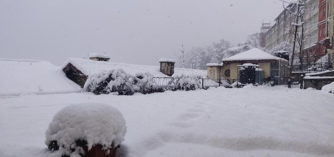 The Thistle Lodge Shimla Zewnętrze zdjęcie
