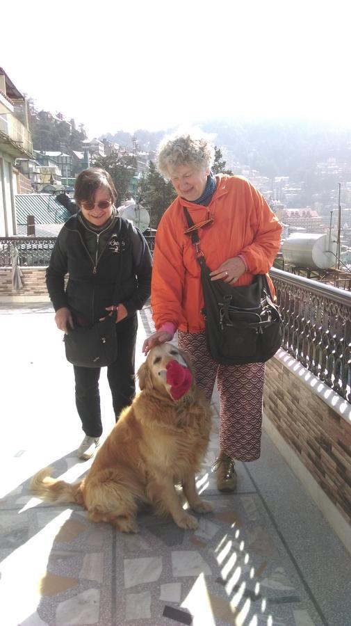 The Thistle Lodge Shimla Zewnętrze zdjęcie